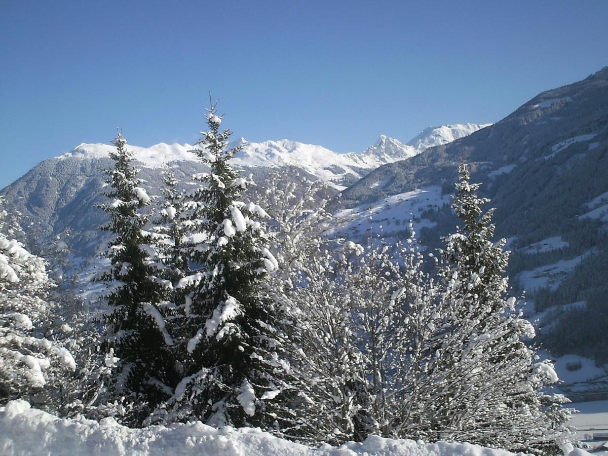 Aschau Im Zillertal Apartment Landhaus Anton By Interhome מראה חיצוני תמונה